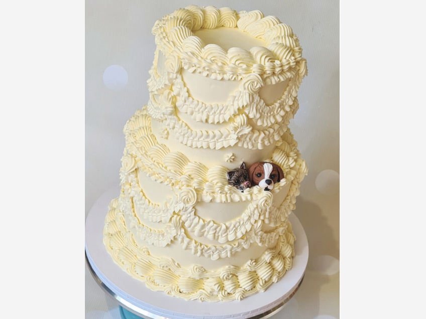 Celebration Cakes for All Occasions - Christchurch -