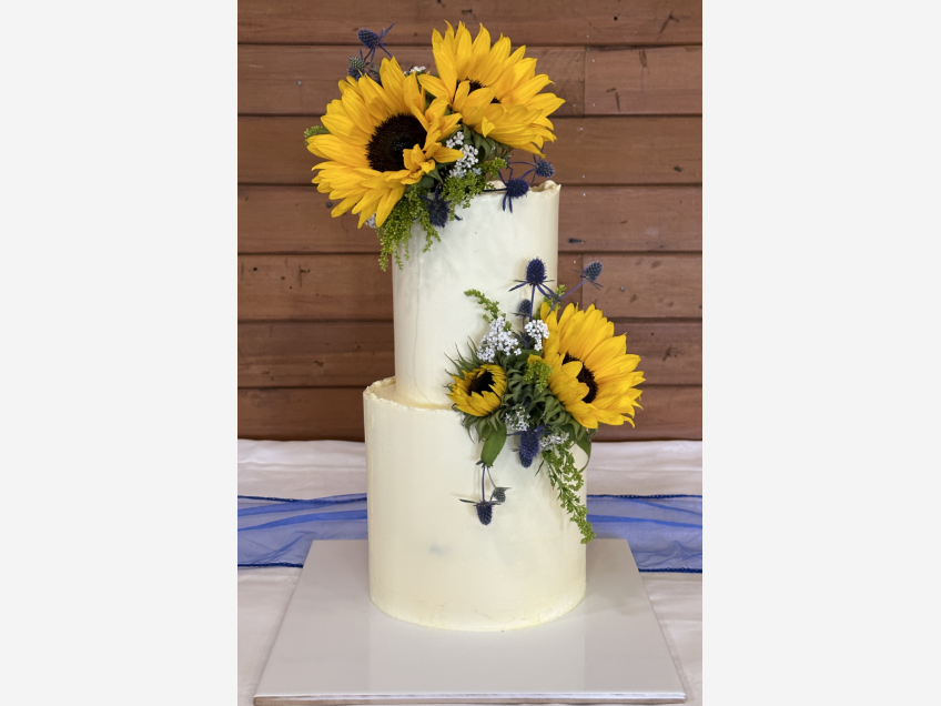 Celebration Cakes for All Occasions - Christchurch -